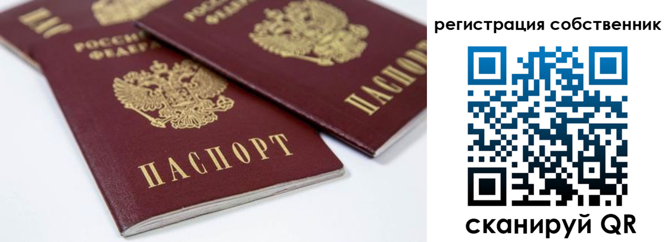 прописка для школы в Березниках